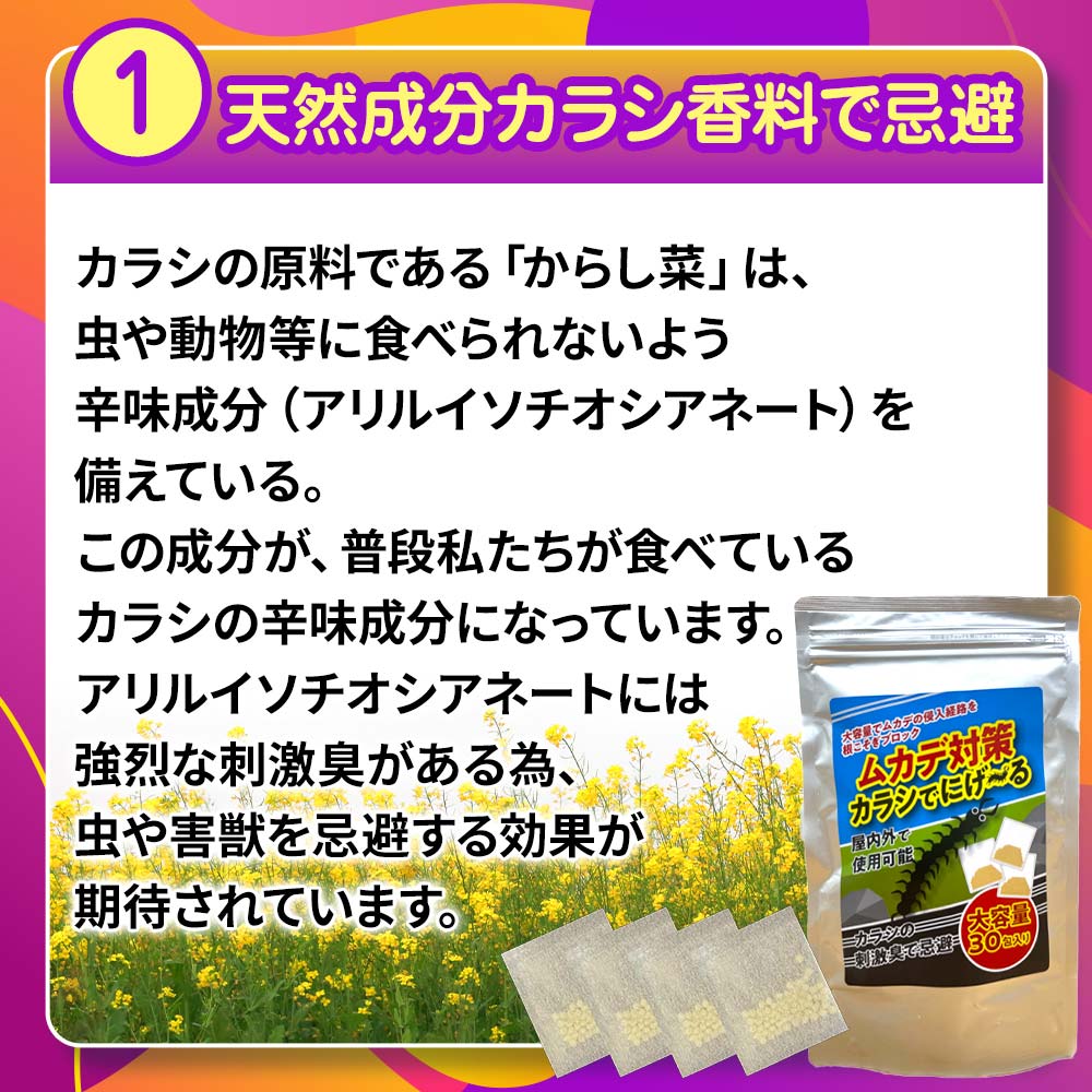 ५к 饷Ǥˤ 304  饷ʬ  