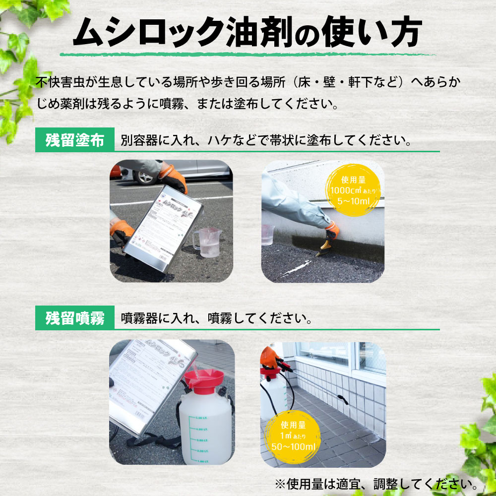 ५ 䥹Ƕ ॷå 4L4 㽭 ॷ༣  Ԥ ̵  ץѻ