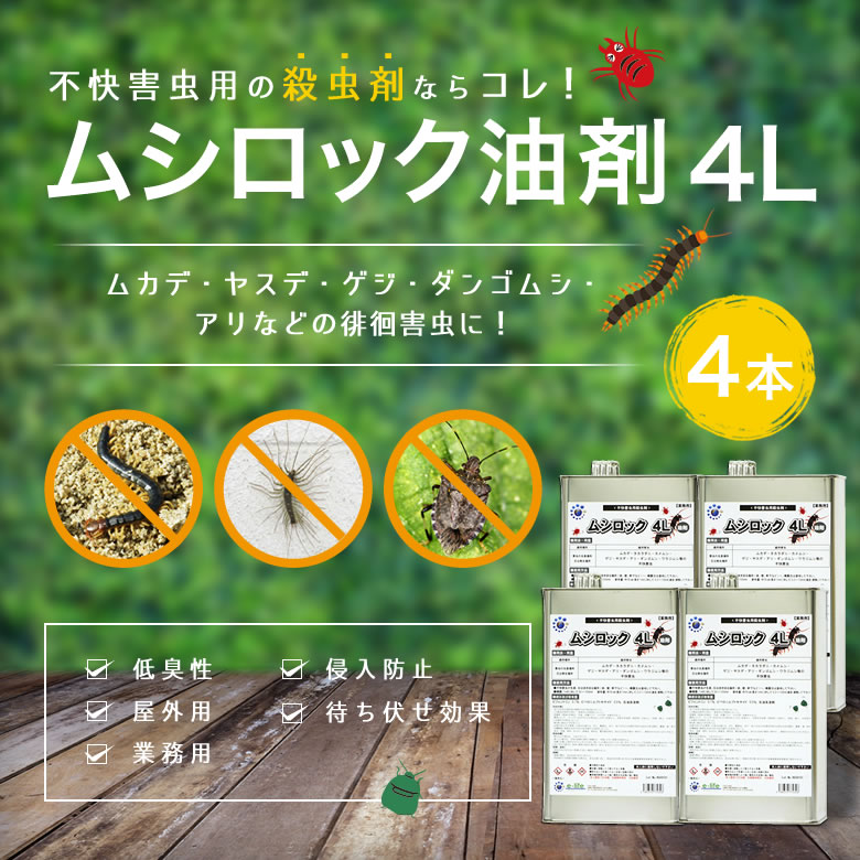 ५ 䥹Ƕ ॷå 4L4 㽭 ॷ༣  Ԥ ̵  ץѻ