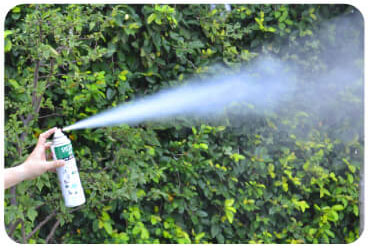 SHE&YOU ϥ  ֥ ץ졼 550ml 100ŷʬ Х Х ȥɥ  ǥ˥