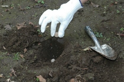 ⥰  ⥰饯 300g30ġ