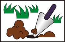 ⥰  ⥰饯 300g30ġ