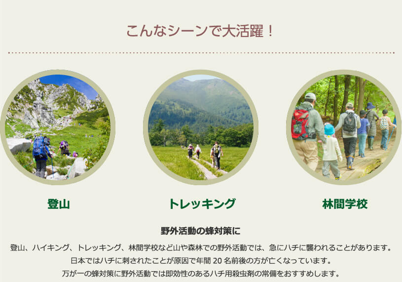 SHE&YOU ϥ  ֥ ץ졼 550ml3 100ŷʬ Х Х ȥɥ  ǥ˥