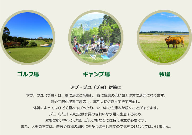 SHE&YOU ϥ  ֥ ץ졼 550ml3 100ŷʬ Х Х ȥɥ  ǥ˥