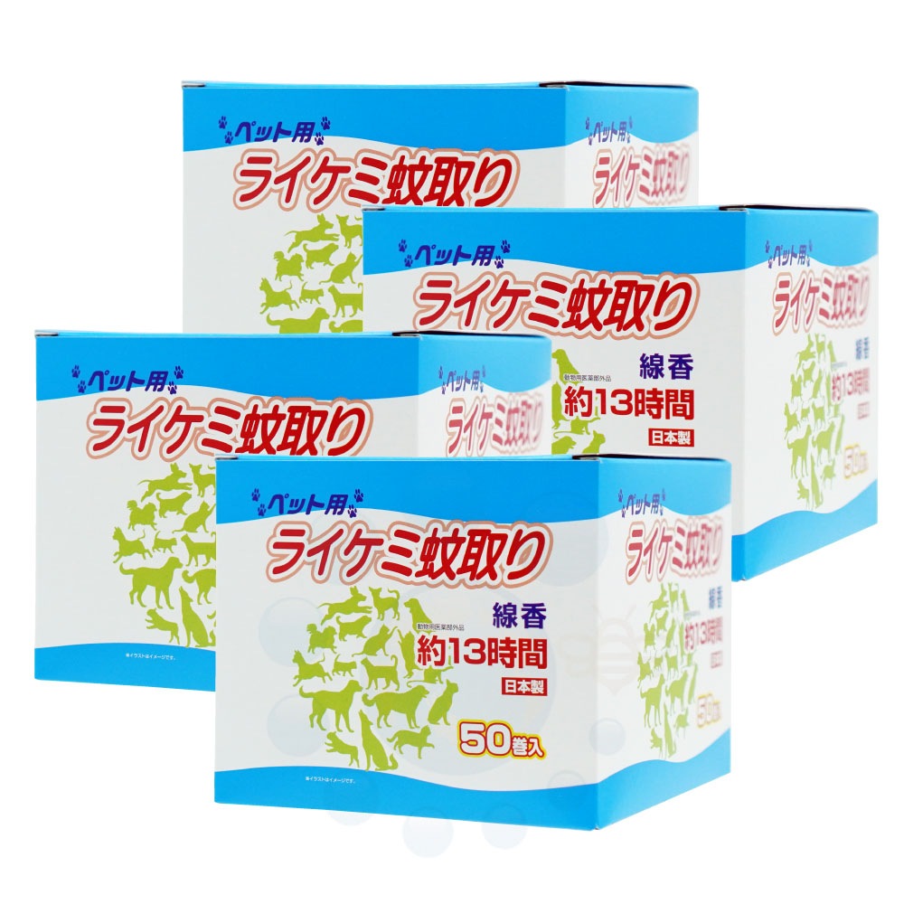  饤߲ ڥå 504Ȣ ưʪѰʡ  Ȥꤻ󤳤  ǭ  к