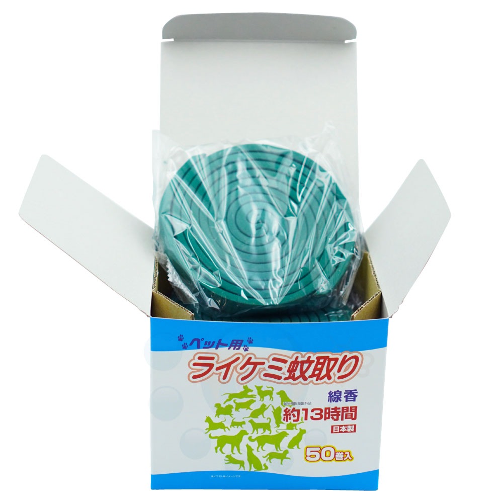  饤߲ ڥå 504Ȣ ưʪѰʡ  Ȥꤻ󤳤  ǭ  к