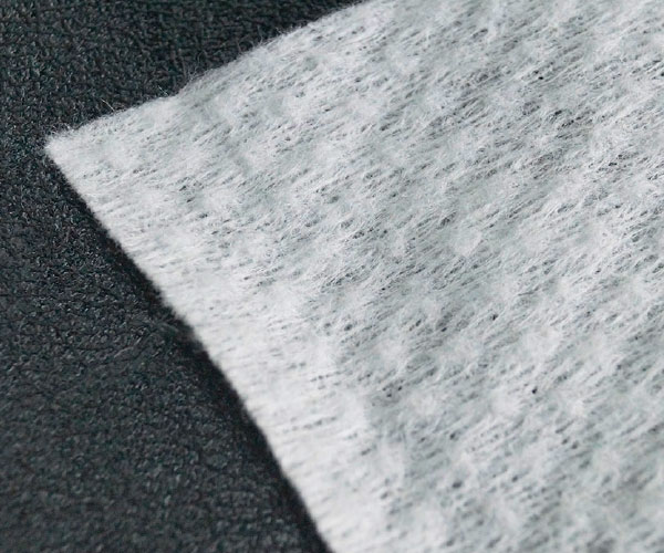  ʥ  1 W-1000ND ʪͳ  SDGS