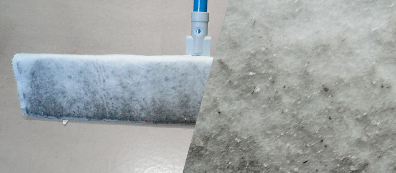  ʥ  1 W-1000ND ʪͳ  SDGS