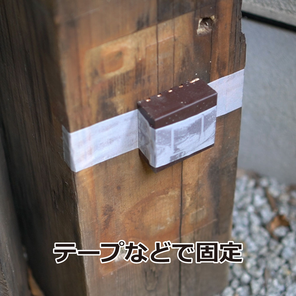 ��¶�� ��������ϥ󥿡� 3������24Ȣ