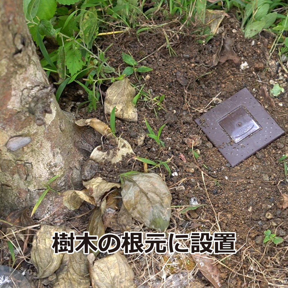 ��¶�� ��������ϥ󥿡� 3������24Ȣ