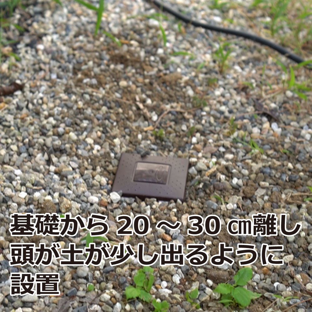 ��¶�� ��������ϥ󥿡� 3������24Ȣ