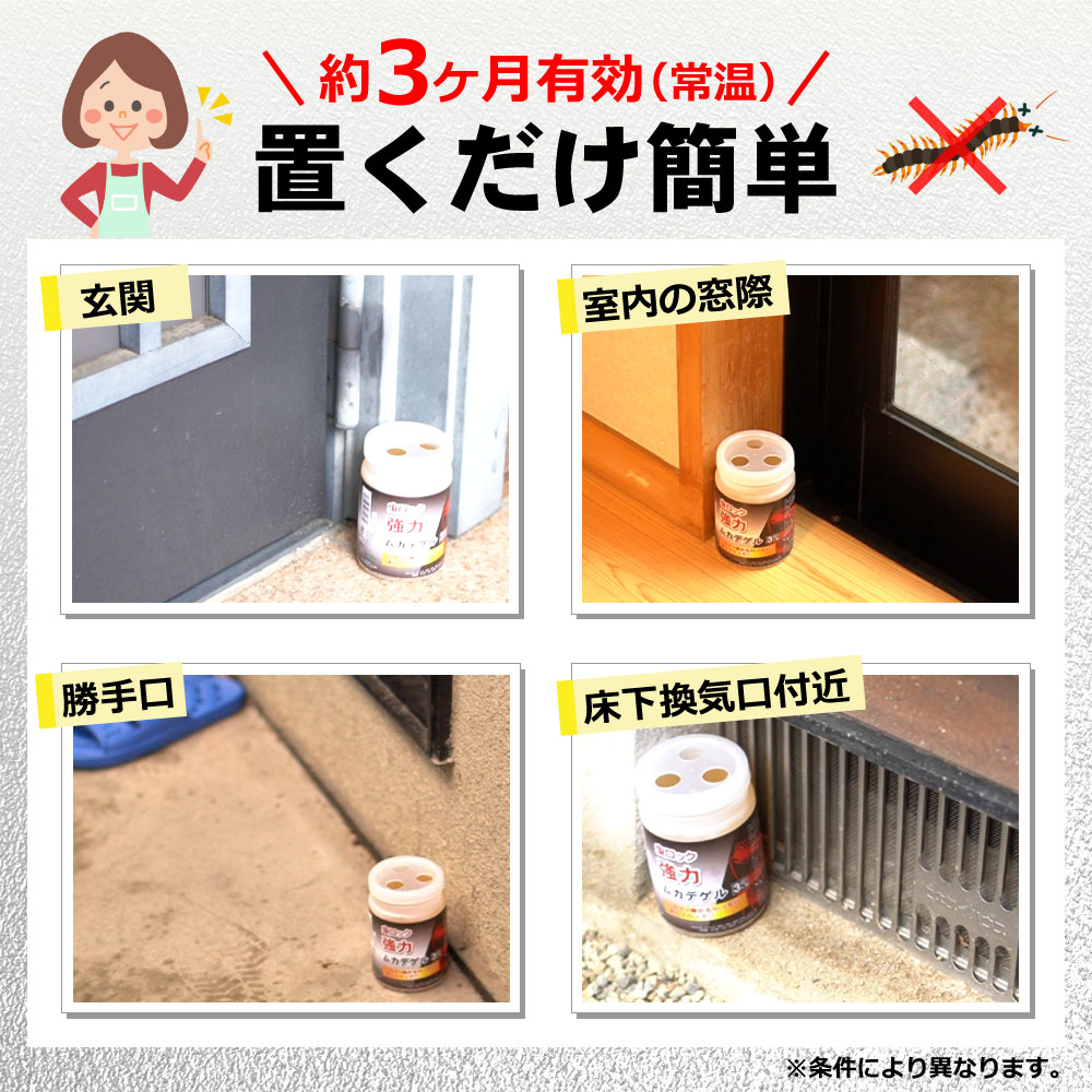 ����å����ϥ५�ǥ��� 300g��3�� �Բ����� �५���� ������̵����