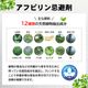 ����å����ϥ५�ǥ��� 300g��3�� �Բ����� �५���� ������̵����