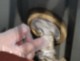 ͥ߶ ̳ ͥߴѥ ͥB-7V 1kg10 餫 ץ ͹ ͥ߿ɻ