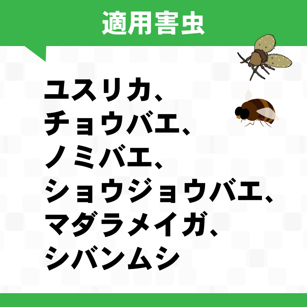 �楹�ꥫ ���祦�Х���� ��̳�ѥϥ˥�������ե���AC-P������ ���α��