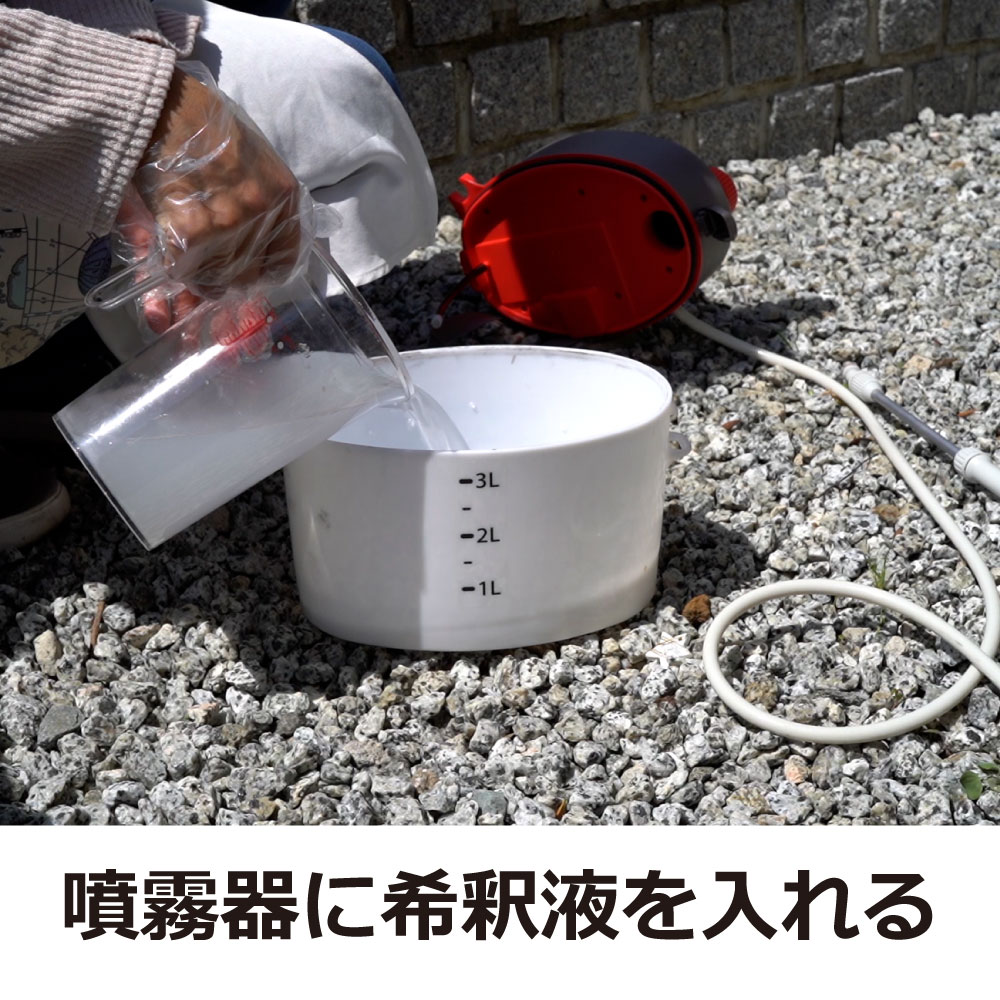 ५Ƕ 䥹Ƕ ١0.5SC 900ml12 ̵  ʮ̸ 