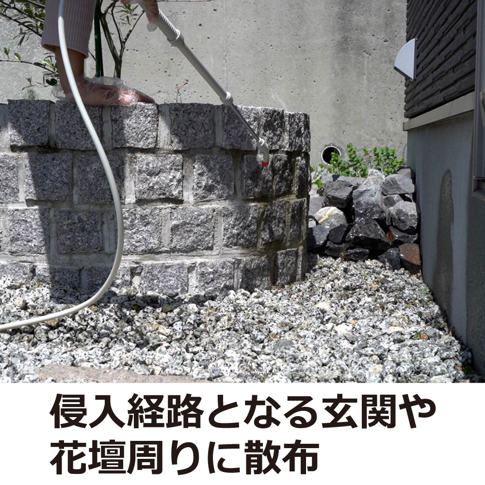 ५Ƕ 䥹Ƕ ١0.5SC 900ml12 ̵  ʮ̸ 