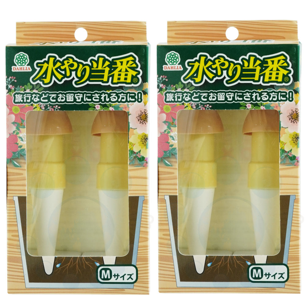 ��ư���� ��ư����� �������� M��������2�� ι�� α�� �٥��� �ץ�󥿡� �ڱ� �����