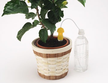 ��ư���� ��ư����� �������� M��������2�� ι�� α�� �٥��� �ץ�󥿡� �ڱ� �����