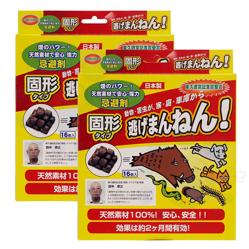 ƨ���ޤ�ͤ󡪸Ƿ�������(16�������2Ȣ�� ���ô����