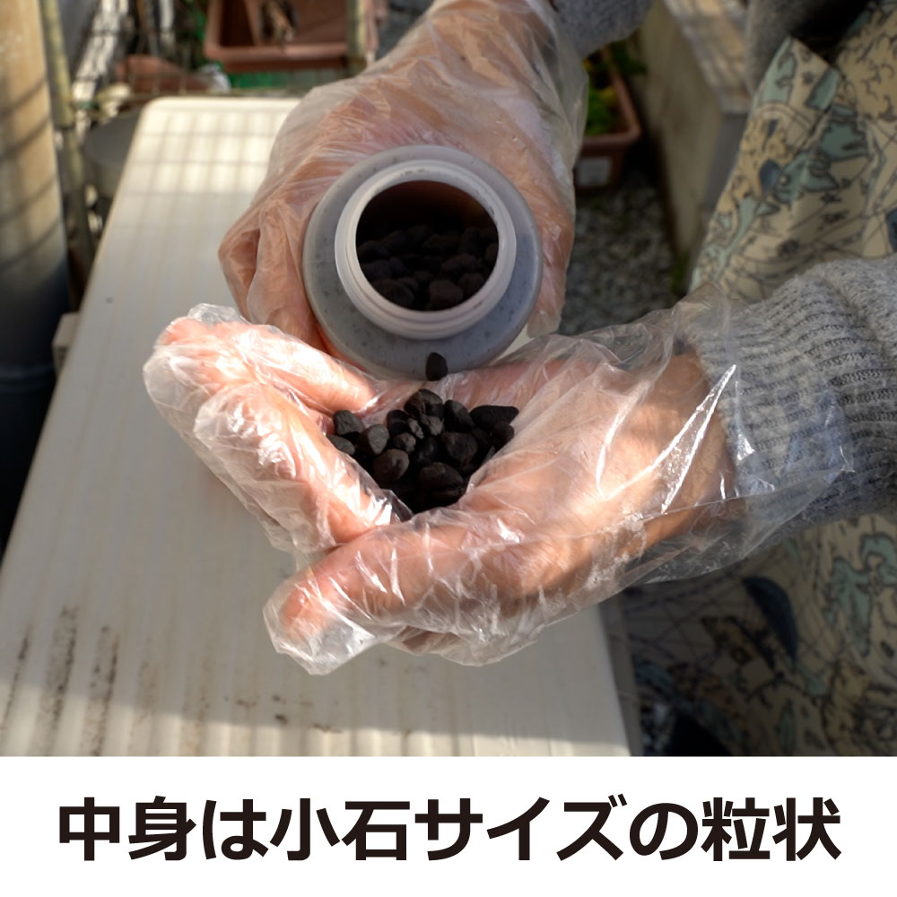 ƨ���ޤ�ͤ󡪾��Х����� 500ml��3�� �ڽ�Ŷ����