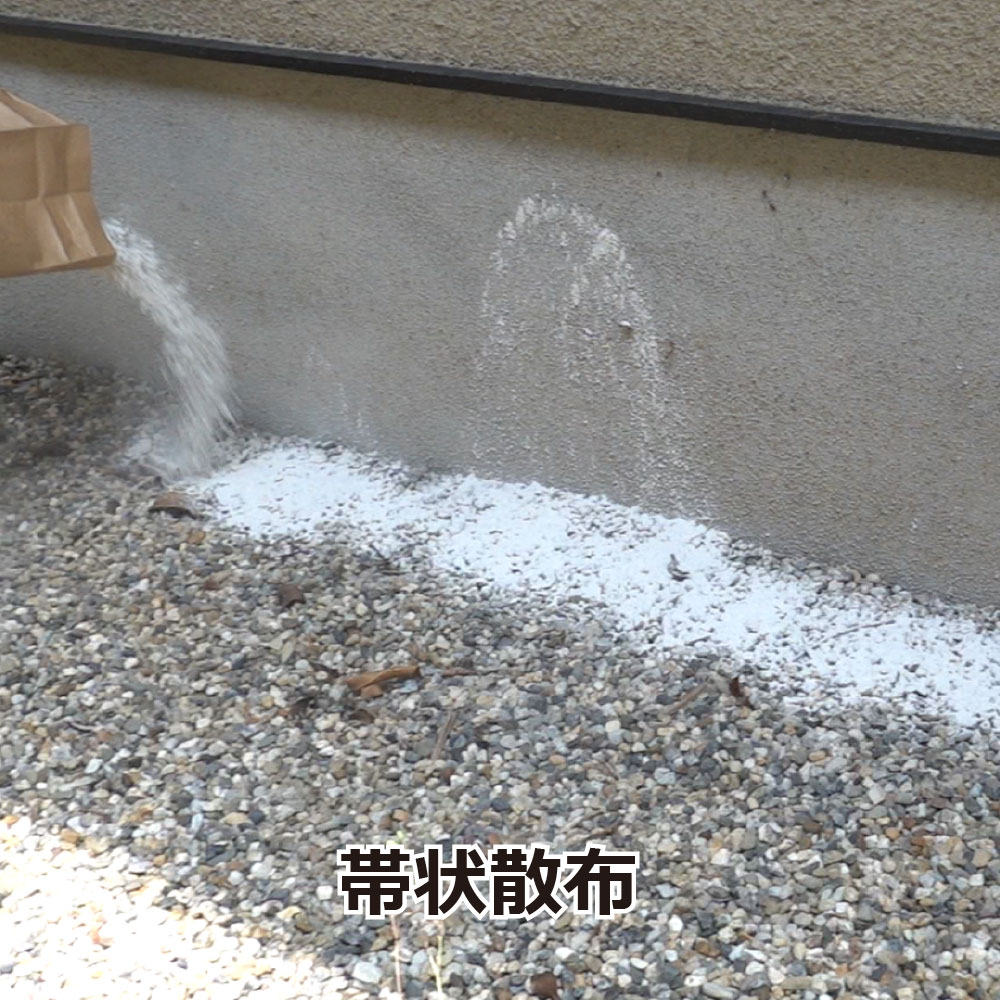 ����åȥ�����SE 3kg�ޡܻ�γ ��ʴ�糧�å�