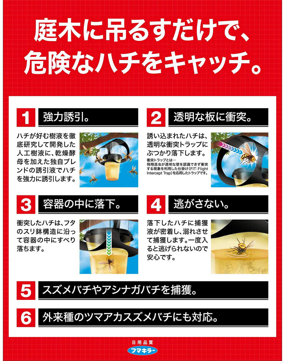 �եޥ��顼 �ϥ�Ķ���� 1������6��