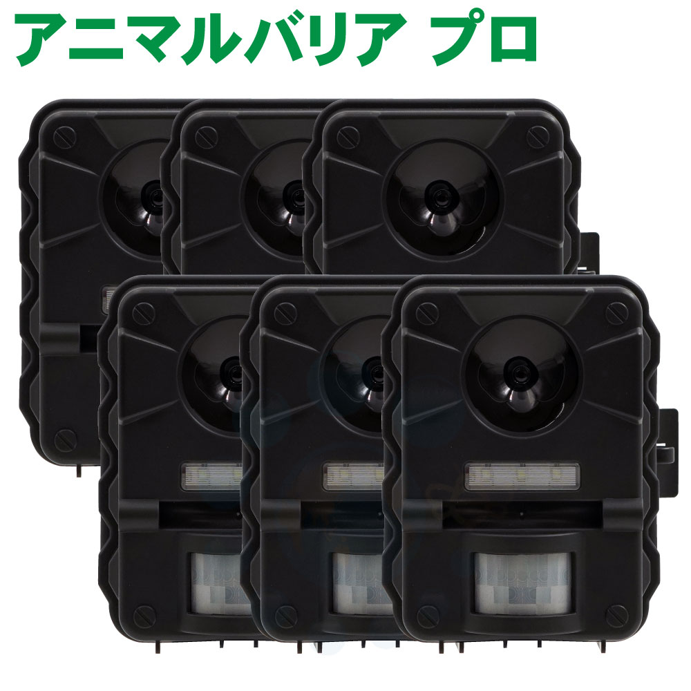 ǭ�褱 ���˥ޥ�ХꥢPRO 6�ĥ��å� �ץ����� �ͥ��к� Ķ���� ���� �ͤ��褱 ����ǭ �� �����ǥ��ﳲ ʵǢ ��־� ���졼�� Ȫ ���Ϥ�Ķ���Ȥȥե�å���饤�Ȥǥͥ�����դ��ޤ���