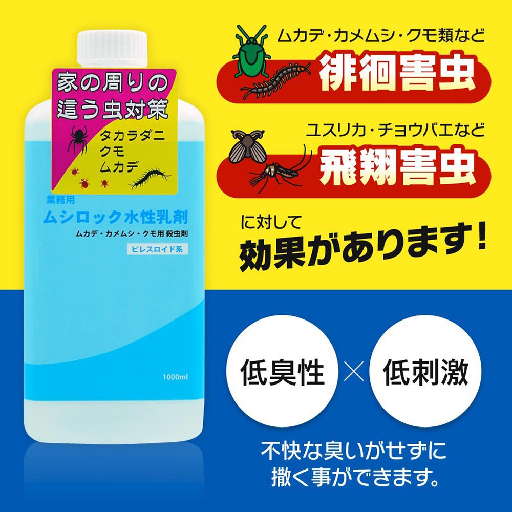  ༣ ̳ ॷå 1L + ߰ʮ̸ 4L å ॷ ५    