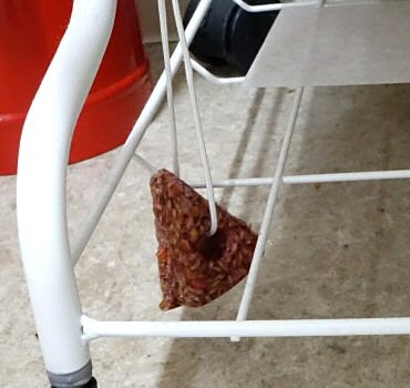 �ڤ��㤤������������ ����̵���� �֥��å������ͺ� �ͥ�������S 120g��100�� ���ɽ��Ѱ��������ʡ� �ɥ֥ͥ��߶��