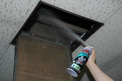 �ͤ��ߤ����䤬�륹�ץ졼 320ml��3�� ����������