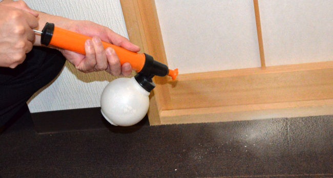 Υå 3kg/ޡܻγ ʴ糧å Хȥ䥹  к 