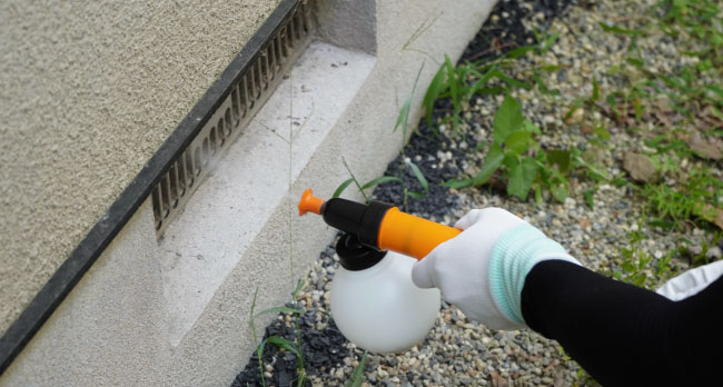 Υå 3kg/ޡܻγ ʴ糧å Хȥ䥹  к 