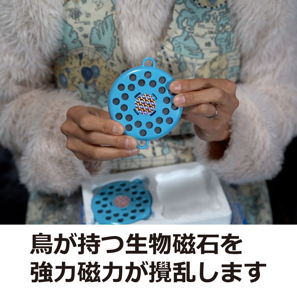 ȷ褱 饹褱 Ļ褱ФĻ ߥĥ Ȥ 23Ȣ