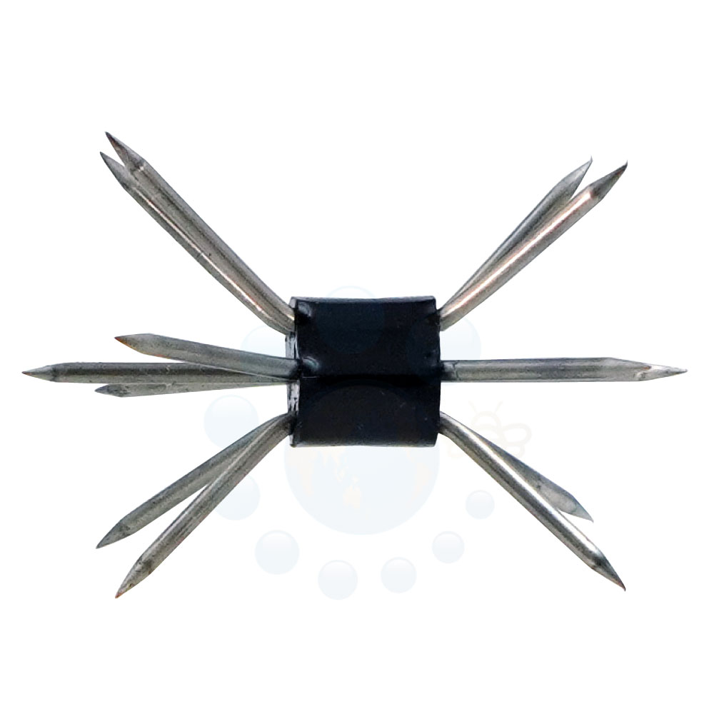 ͥߴZ 1 ڥͥ ưʪѤޤӤ [ͥɽ]