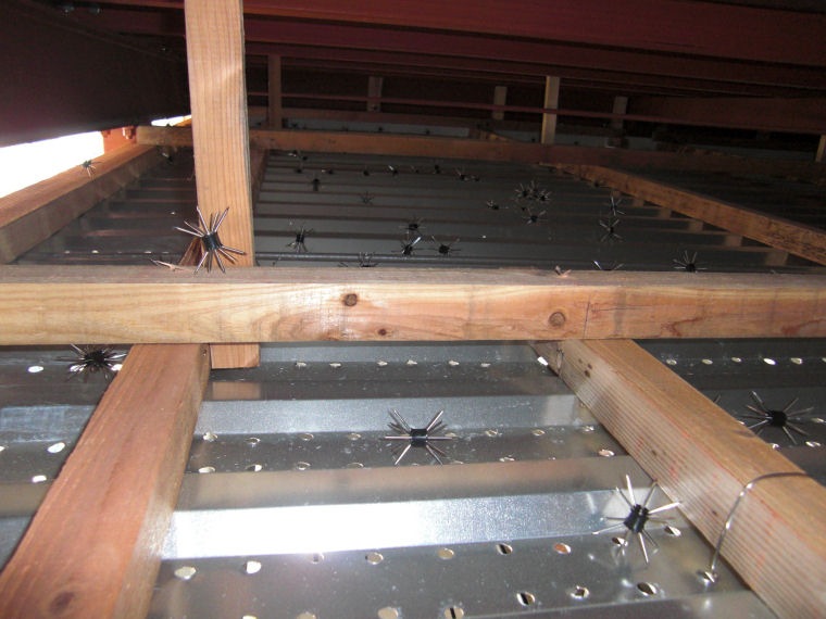 ͥߴZ 1 ڥͥ ưʪѤޤӤ [ͥɽ]