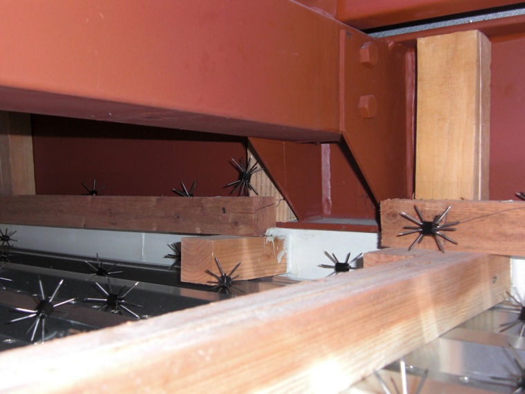 ͥߴZ 1 ڥͥ ưʪѤޤӤ [ͥɽ]