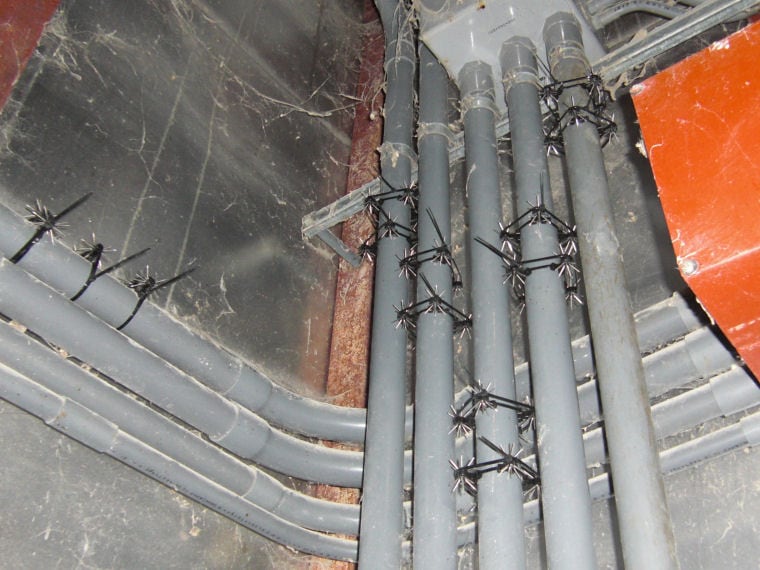 ͥߴZ 1 ڥͥ ưʪѤޤӤ [ͥɽ]