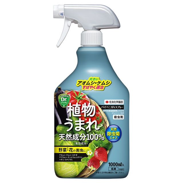 ��ͧ���ر�� �ѥ��٥˥�V���ץ졼 1000ml ��ʪ���ޤ� ŷ����ʬ �ԥ�ȥ��
