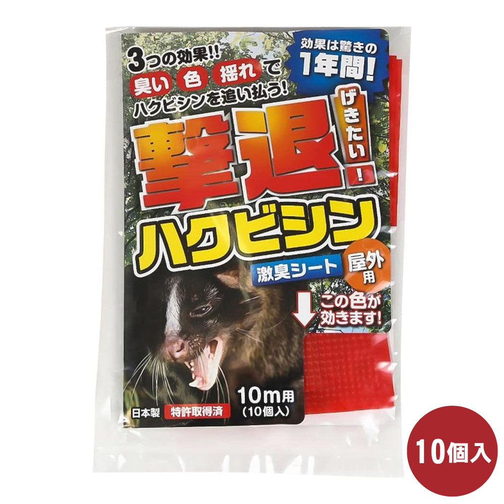 ϥӥк ϥӥ  10 10 ڤ椦ѥåб   ʪ ﳲ ³ ɽ ɷ㽭 ñ