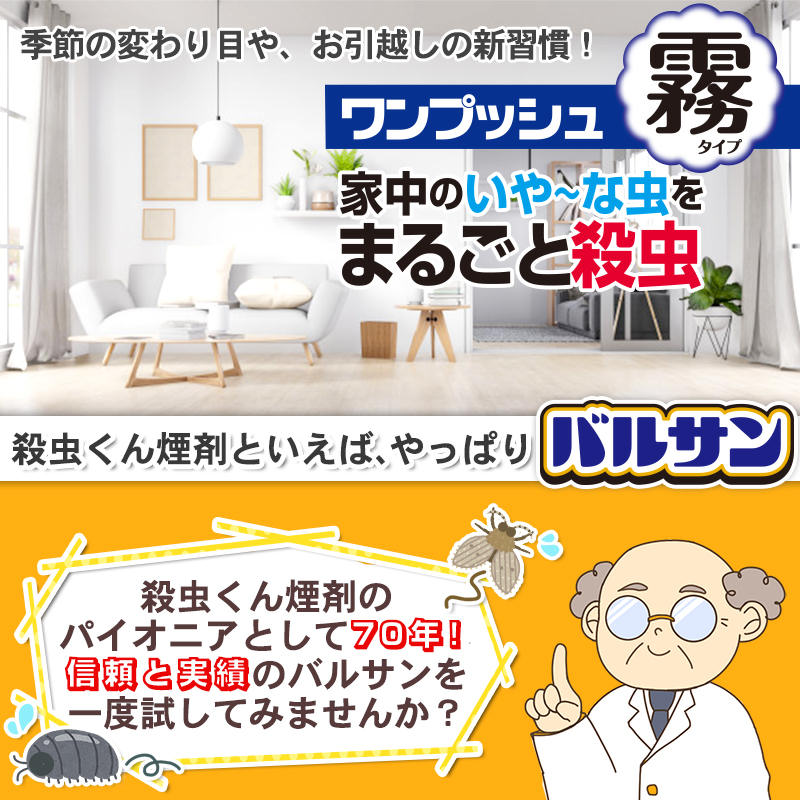 ॷ ༣ 㥿ƥॷ Хॷ  Х륵 ץå ̸ 46.5g 6-10ѡ30/