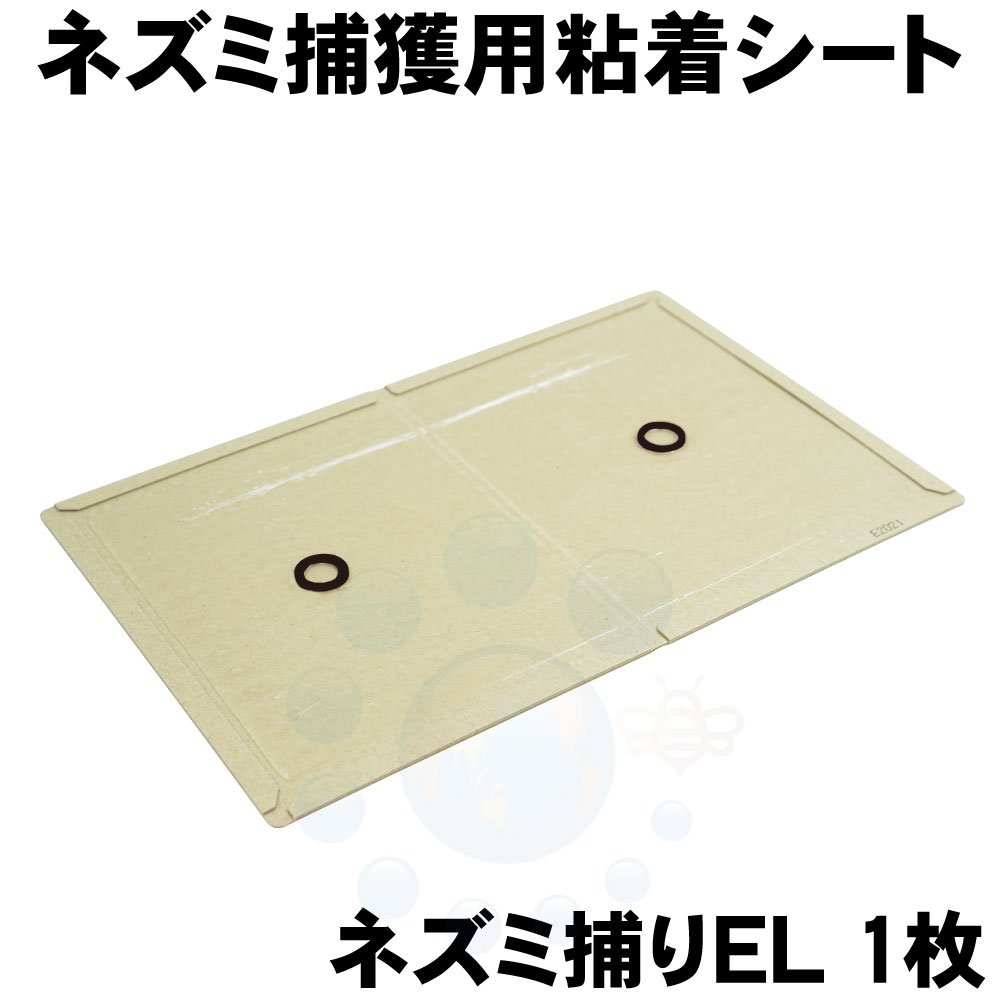 ͥ߶ ̳ ͥ EL 1 ͥ Ǵ Ǵ奷  ͥǴܡ ͥɽ ڤ椦ѥåб275ߡۡ3ޤǡ