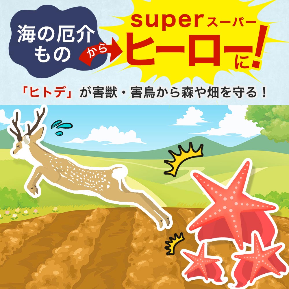   к ޥ󥹥 20L10kg ҥȥ  Υ  к ⥰ 饹 ϥ  Ȫ ﳲ 