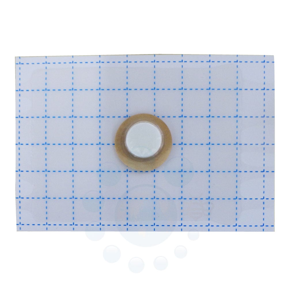 ƤˤĤ ȥꥪ Υҥ饿ॷ 1å  Υҥ饿ॷ Ͷ  ե ȥå