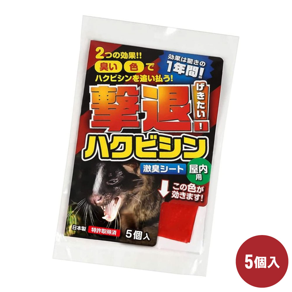 ϥӥк ϥӥ  5 ڤ椦ѥåб   ʪ ﳲ ³ ɽ ɷ㽭 ñ ŷʪ