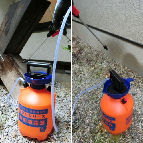  򥢥ꥹѡPHI Ѥ 2L ʮ̸ 4L å