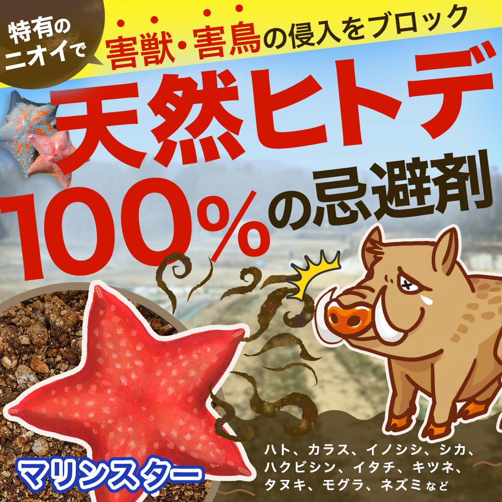 Υ  к ޥ󥹥 20L10kgˡ10 ҥȥ  ⥰ 饹 ϥ  Ȫ ﳲ 