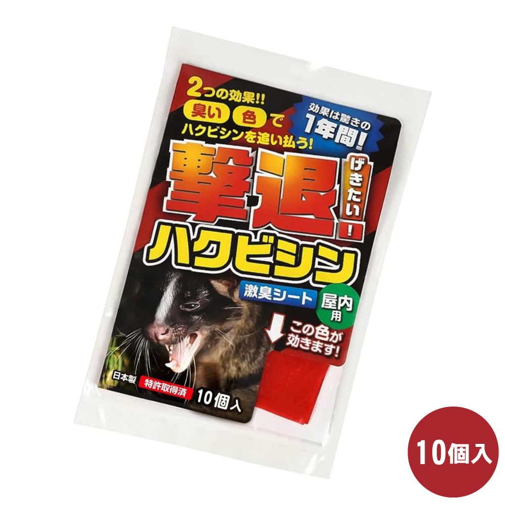 ϥӥк ϥӥ  10 ڤ椦ѥåб   ʪ ﳲ ³ ɽ ɷ㽭 ñ ŷʪ