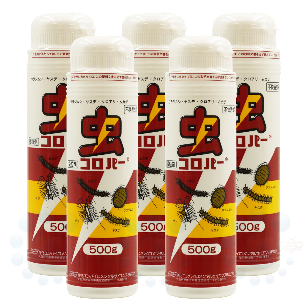 ѡ 500g5ܥå γ Բ