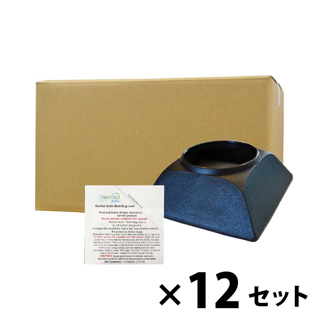 ȥͶĴȥå  Ͷޥåȡ12    к ʹ